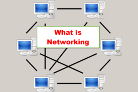What is Computer Network with Examples