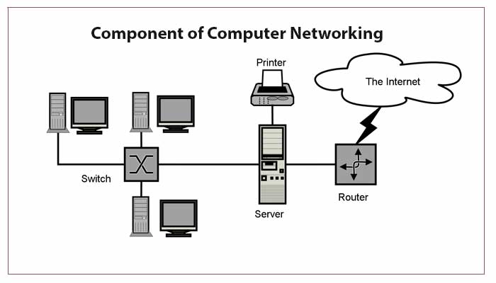 What are the Components of Computer Network - Snabay ...