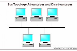 Bus Topology Advantages and Disadvantages