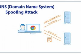 DNS (Domain Name System) Spoofing Attack