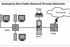 Enterprise Non Public Network (Private Network)