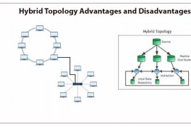 Hybrid Topology Advantages and Disadvantages