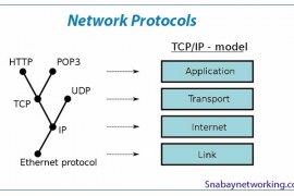 What is Network Protocols