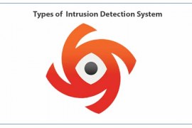 Types of Intrusion Detection System in Security