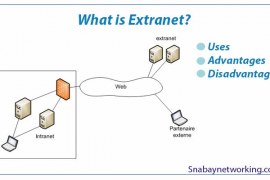 What is Extranet, Uses, Advantages and Disadvantages