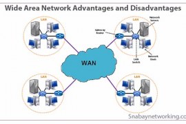Wide Area Network Advantages and Disadvantages