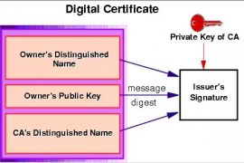 What is Digital Certificate, Digital Signature