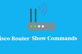 Cisco Router Show Commands
