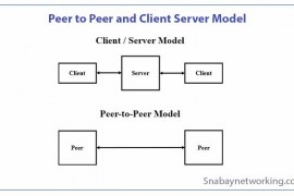 What is Peer to Peer and Client Server, Benefits, Drawbacks