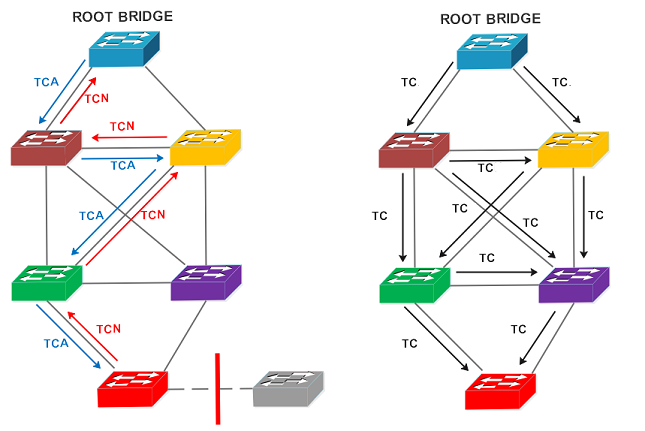 Алгоритм связующего дерева STP. STP протокол схема. Протоколы семейства spanning Tree. Протокол связующего дерева.