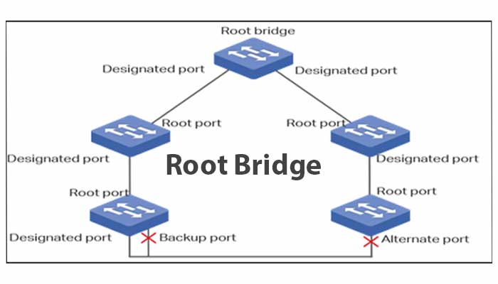 Root Bridge Protocol