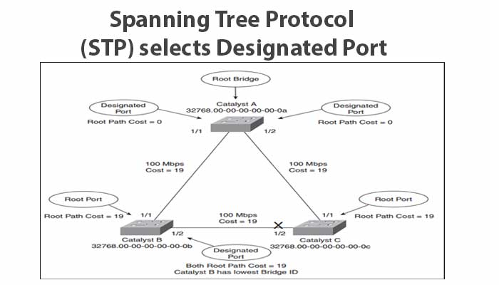 Spanning Tree Protocol (STP) selects Designated Port