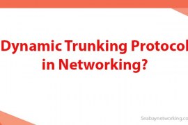 What is Dynamic Trunking Protocol in Networking