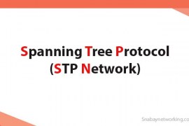 Spanning Tree Protocol | STP Network with Examples