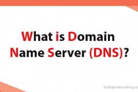 What is Domain Name Server (DNS) | Types | Working
