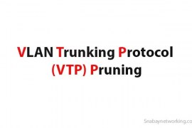 VLAN Trunking Protocol (VTP) Pruning In Networking