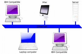 What is Local Area Network (LAN), Advantages and Disadvantages