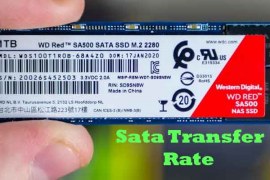 What Sata Standard Provides A Transfer Rate Of 3 Gb/sec?