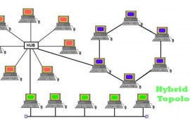 What Are Two Examples Of Hybrid Topologies?