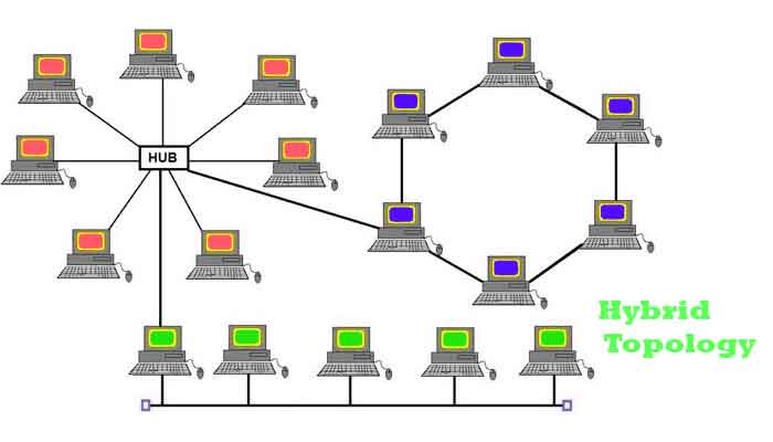 What Are Two Examples Of Hybrid Topologies?