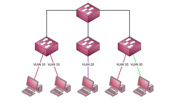 What does the VLAN trunk protocol (VTP) do