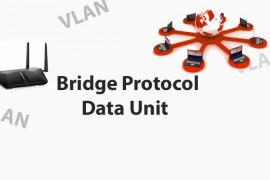 Bridge Protocol Data Unit (BPDU) Frame