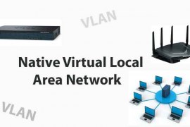 Native Virtual Local Area Network | Native VLAN
