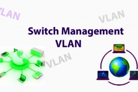 WHAT IS SWITCH MANAGEMENT VLAN AND HOW TO CONFIGURE MANAGEMENT VLAN
