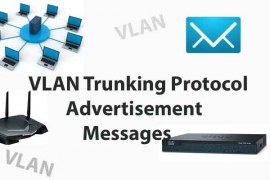 VLAN Trunking Protocol Advertisement Messages