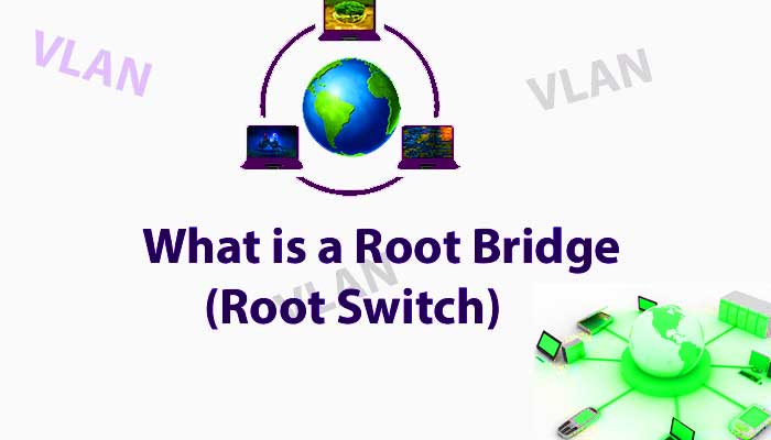 What Is A Root Bridge In Networking