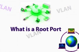 What is a Root Port