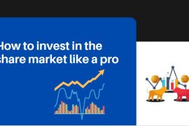 How to invest in the share market like a pro?