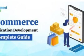 Ecommerce Application Development – A Complete Guide