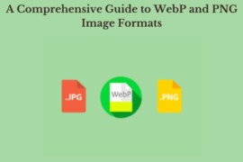 A Comprehensive Guide to WebP and PNG Image Formats