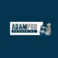 AdamPro rendering