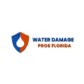 Water Damage Pros FL