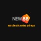 new88 ccoo