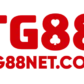 tg88netcom1